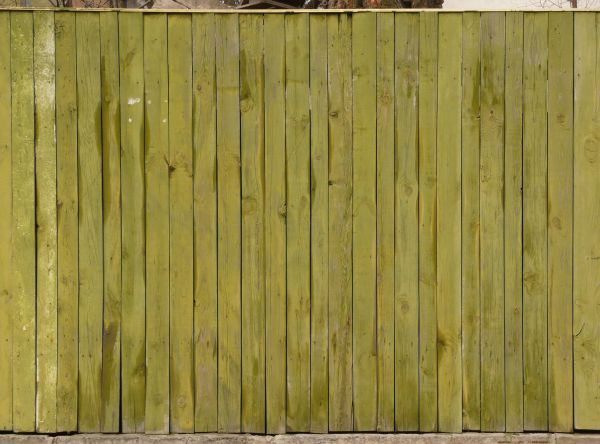 Light green planks set evenly in vertical fashion.